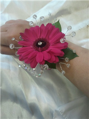 cerise black eye gerbera wrist corsage